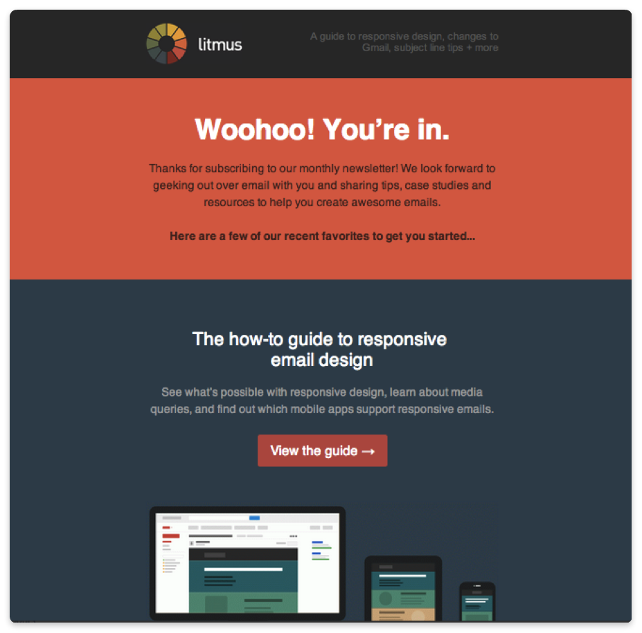 Litmus email example