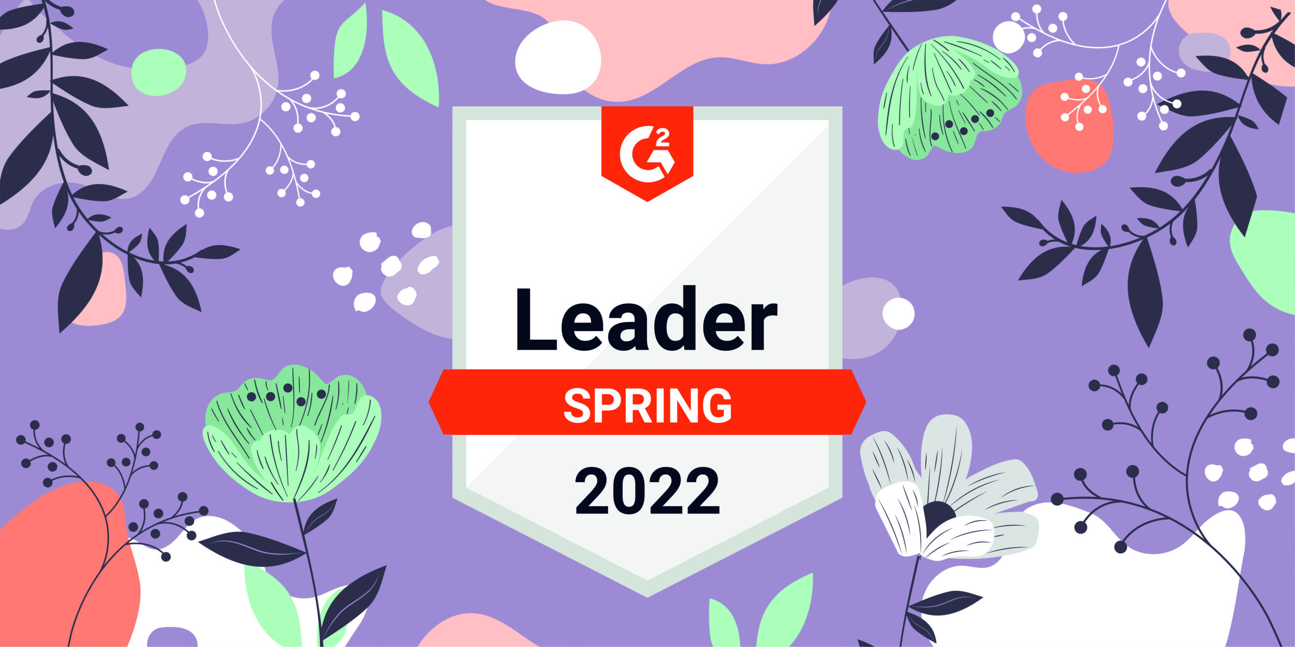 Snov.io Rocks Among G2 Spring 2022 Leaders