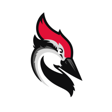Woodpecker lead generation software