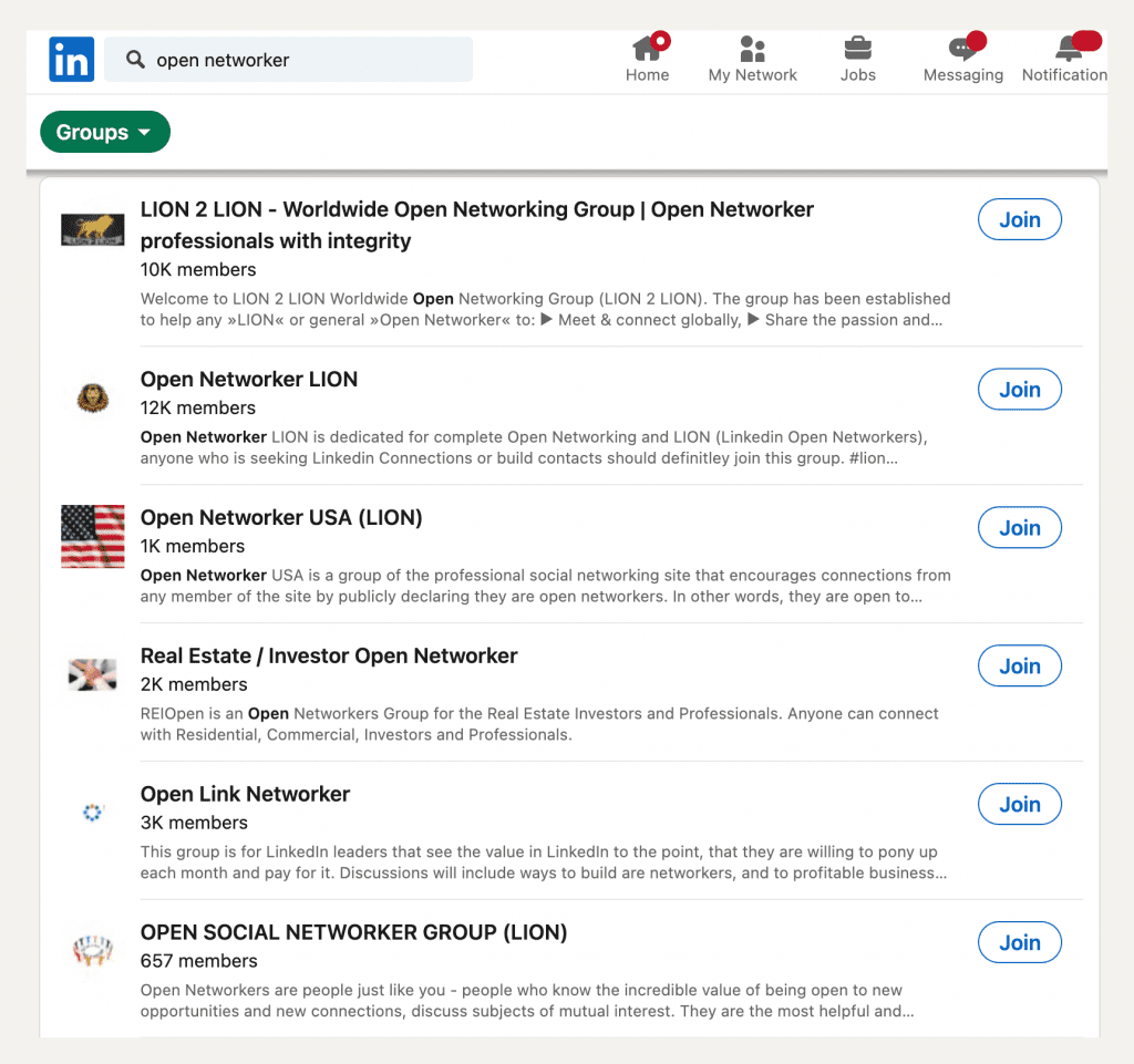 LinkedIn Open Networker (LION): to Be or not to Be to Generate More Leads?