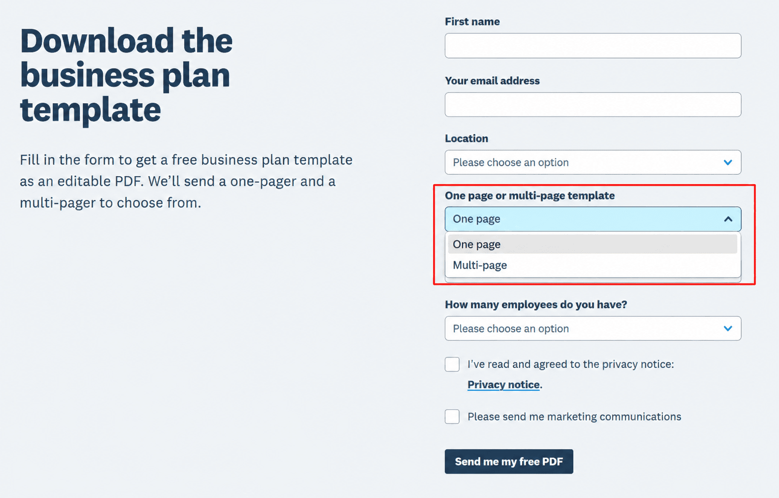 How to create a good lead magnet - let people choose the size - a one-page or multi-page template
