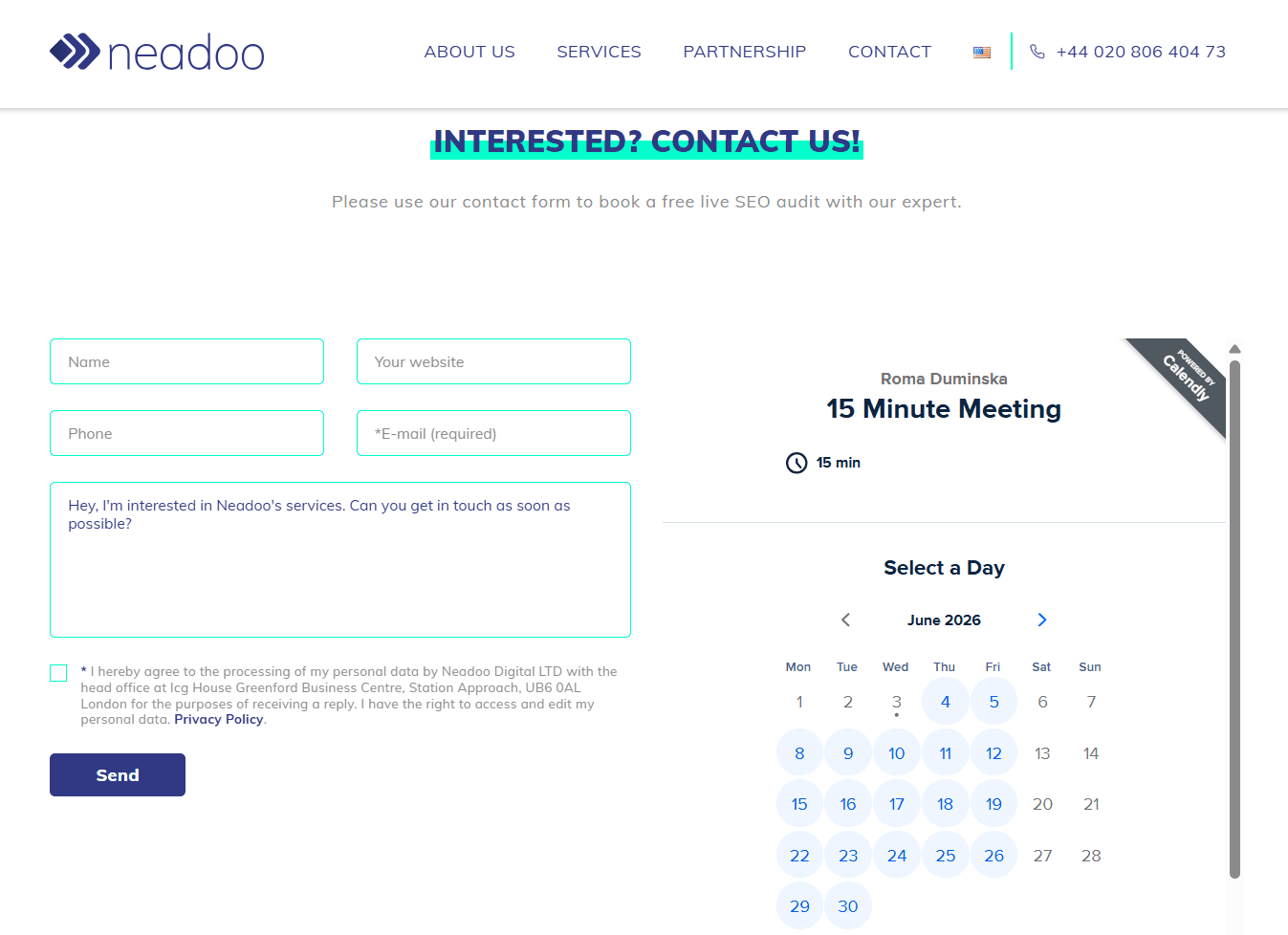 Lead magnet example from the Snov.io customer - free SEO audit - Neadoo