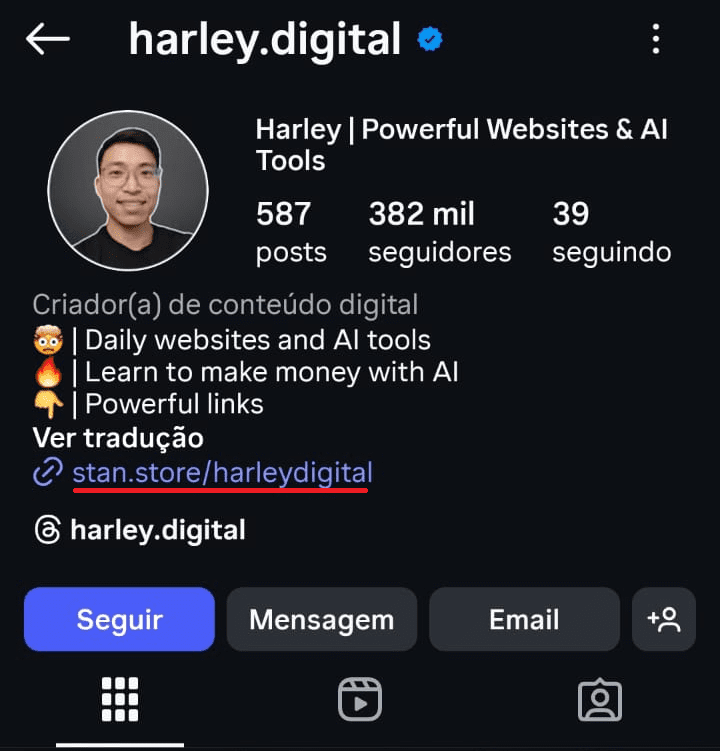 scaptura de tele mostrando onde achar site vinculado a uma conta no Instagram