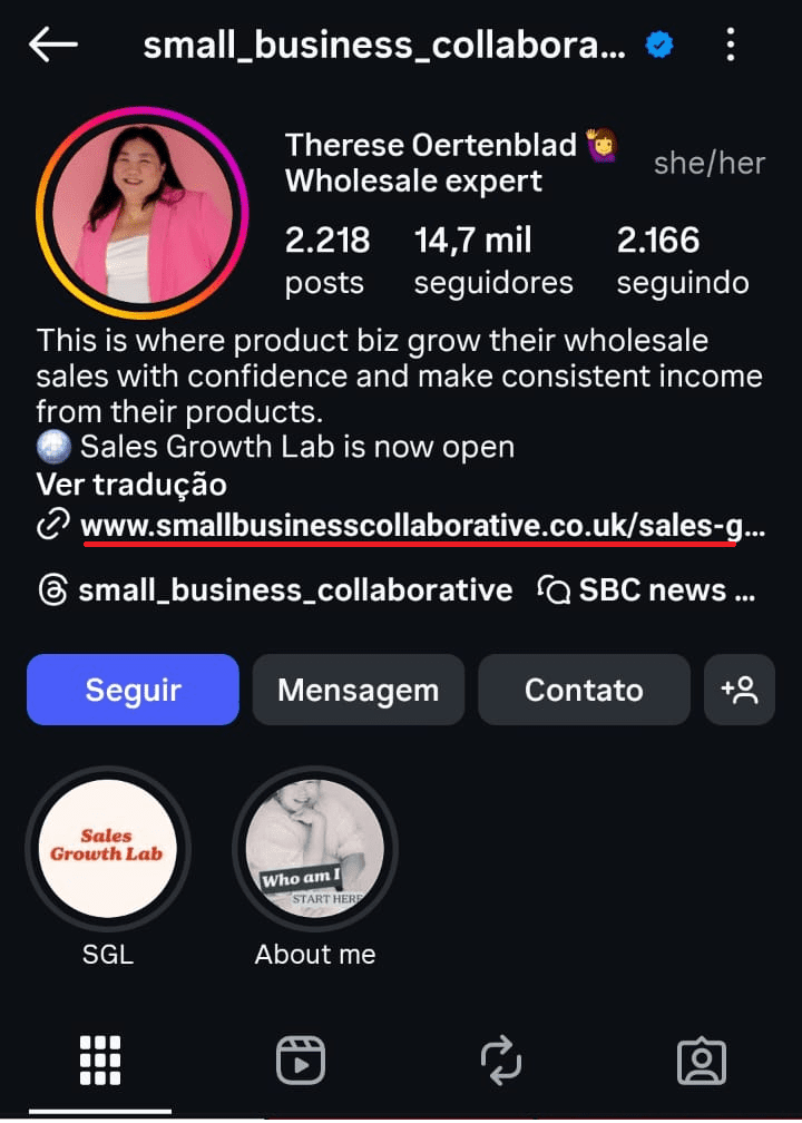 captura de tela mostrando site vinculado a um perfil do Instagram