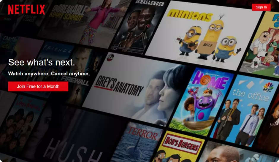 Netflix mentions 2 advantages of its paid subscription